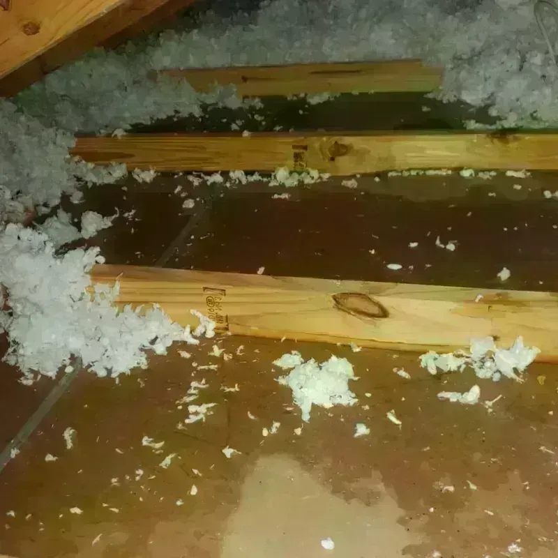 Attic Water Damage in Perry County, OH